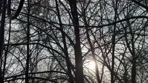 ������ ����, �������!. ������� ����������� ���� � �������