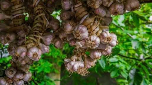 ����������� ������ ��������� �������� �������