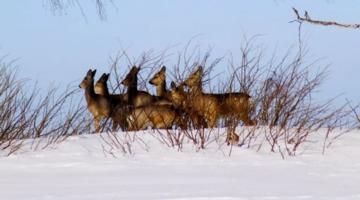 ����������� ��������� ����� �������� � ��������� ���� �������� ��������� �����������