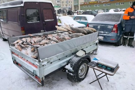 � ��������� ���� ��������� ��������� ������ �� ���������� �������������� ��������