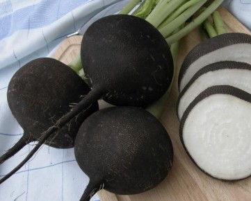 ׸���� ������: ��������� ������� � �������� � ������� ��������