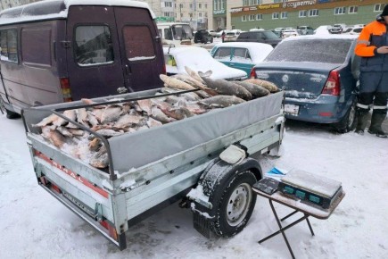 � ��������� ���� ��������� ������ ��� ��������� �������� � �����