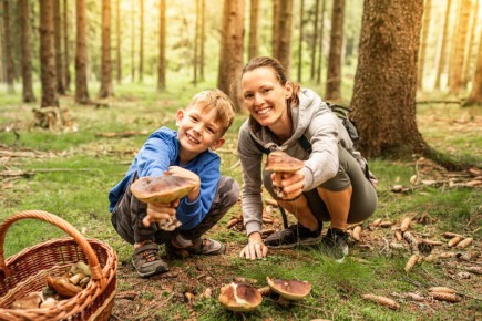 ������ �������� ���� �� ���� � ����� ������