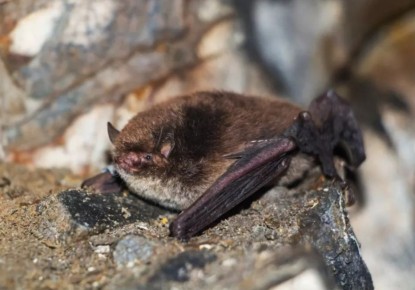 � ��������� ���� ������� �� 20 ��� �� ������� ����� ������ ������� ����