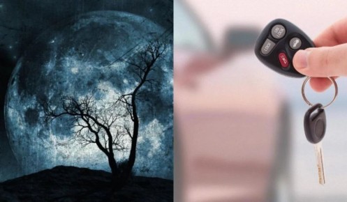 ��� ������� ���� ���������� �� ����� �������: ������ ����������