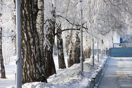 �������� � ��������� ���� �������� �� ����� � �������