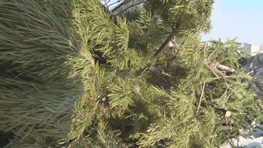 ������� ����� ������� ���������� ���������� ����