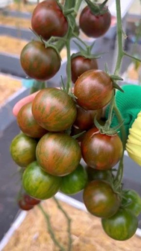 ����� ����� ��������: ������� � ���������� ����� ��� �����������