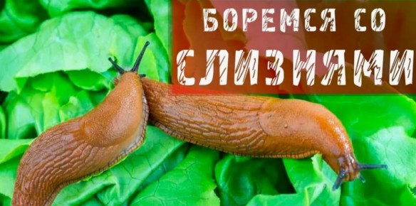 ������� � ������: ��� ��������� ������ �������� ������