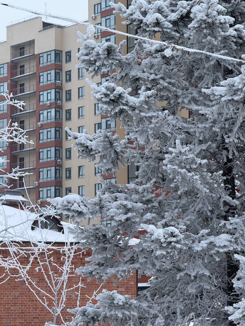 Доброе утро и продуктивной всем рабочей недели, друзья!