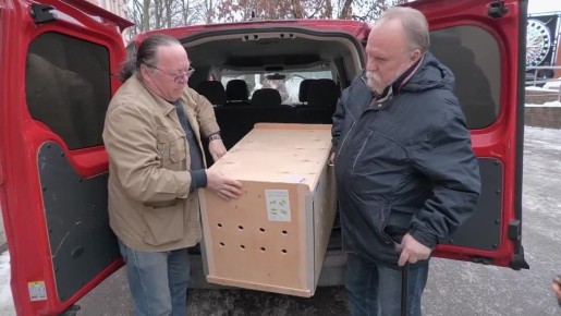 ����� ���� ������� � ������� �����-����������