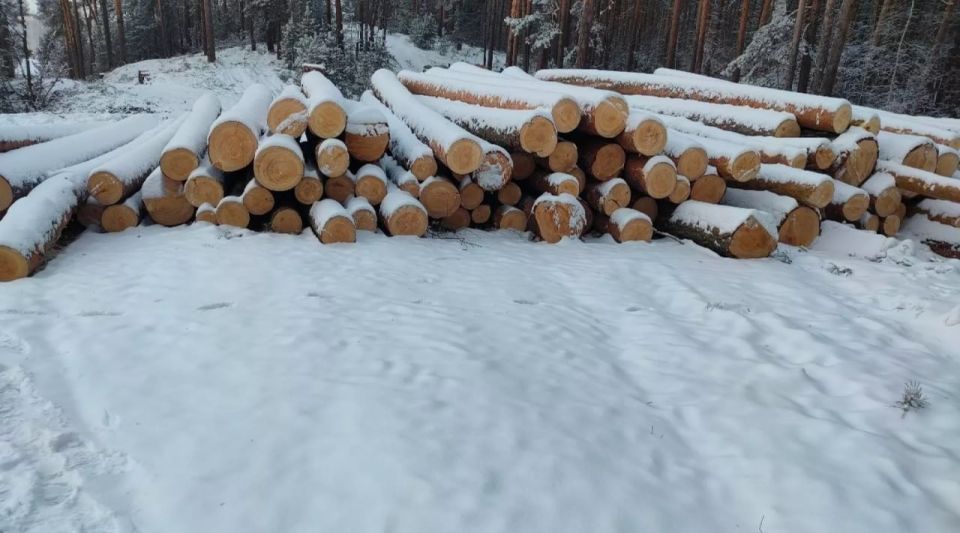 �������� �������� � ���� �� �� �� ����������� ����� ����������� �������