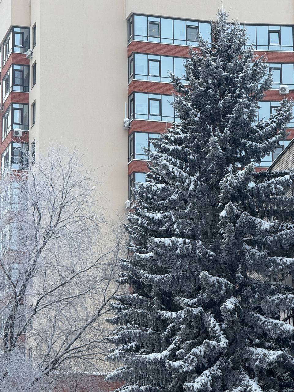 Доброе утро и продуктивной всем рабочей недели, друзья! Доброе утро и продуктивной всем рабочей недели, друзья!