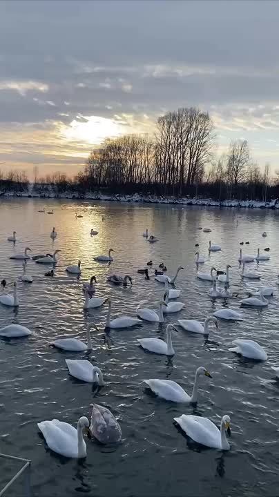 ��������� ���������� �������-�������� ��������� �� ������� � ��������� ���� � 1892 �����