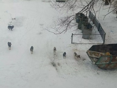 ��������� ������ �� ������� ��������� �����, ������� ������������ �� ������ � �����, ��������� � ����� �� ������� ���������