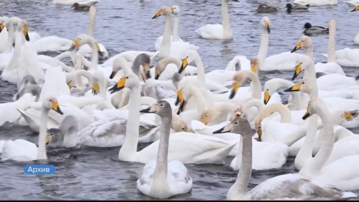 � ��������� ���� � ���� ���� ������ ��������� ����� �������