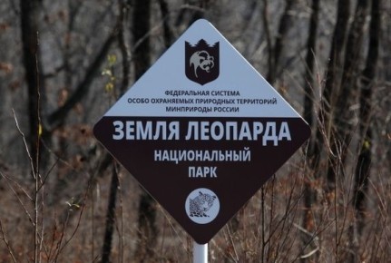 ��������� ������ � ������ �������: ������ ����������� ����������� ��� �������