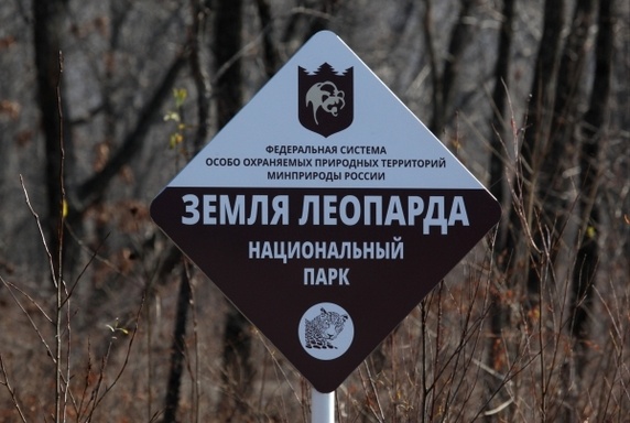 Невидимый предел в охране природы: почему заповедники оказываются под угрозой