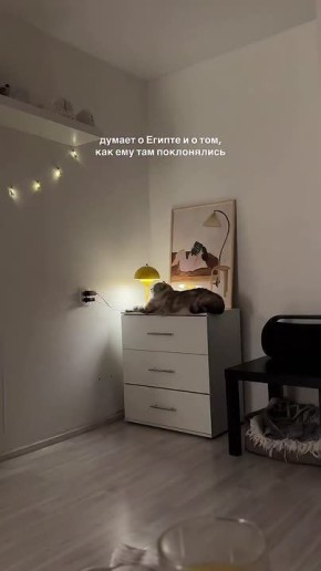 ������ ����, ��������� ����!