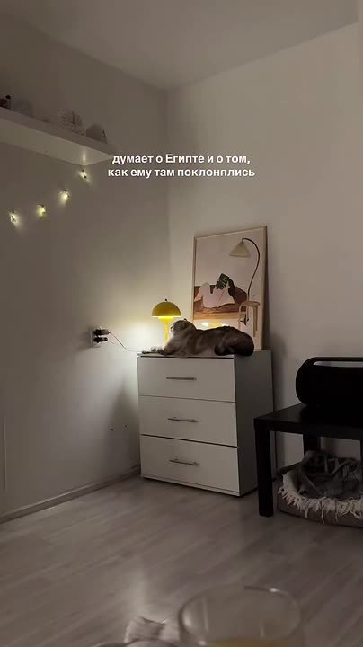 Доброе утро, Алтайский край!