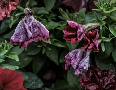 ��� ������� ������� � ����� ����� ������ � ��������� ������� �� ������ �����