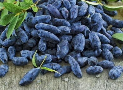 ��� ������������� ��������� ��� ����������� ������ � �������� ������