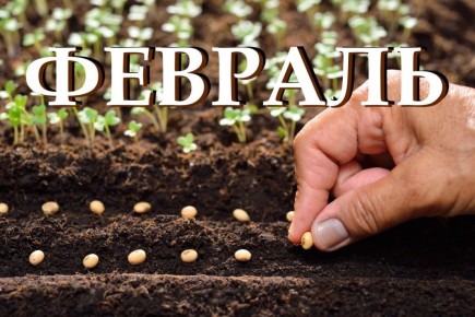 ����������� �������: ��� ��������� se��� � �� ��� �������