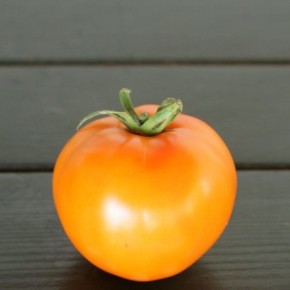 Томат Санька Золотой: ранний плод в компактном кусте для любого укрытия
