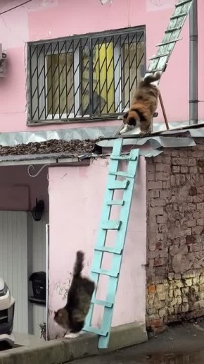 Доброе утро, Алтайский край!