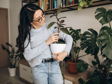 ���� �� ����� ������� � �������� �������� �������� �� 2025 ���