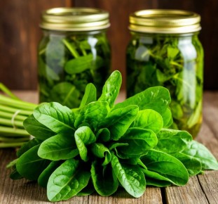 ������ ��� ���� ������������: ��� ��������� �������� �������� ������� ���