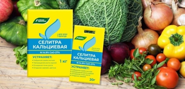 Наблюдение о кальциевой селитре под томаты: как понять роль удобрения в плодах и листьях