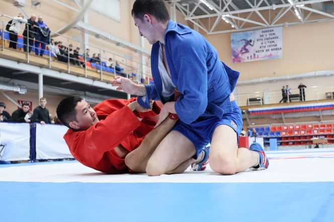 ��������� ��������� ������� �������� ������� ������ ������ �� �������� ���������� ����� ����� �������