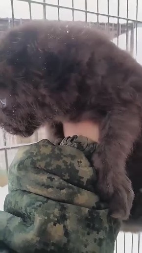 � ������������ �������� ������ ���������� � ���� � �������� ������ � ������ ����� ����� ����������!