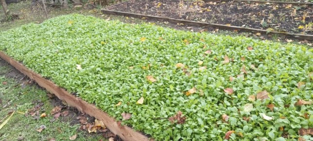 ����� ��������� � ������ �������� ������