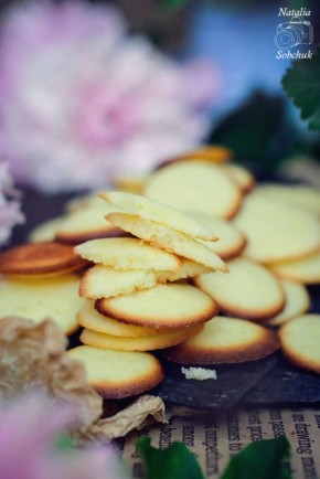 ��������� ������� ��������: ������� � ������� ������ � ���