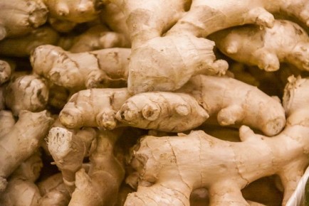 "��������� ����������� ����������": �������� ���� - ��������� �� 10 �����