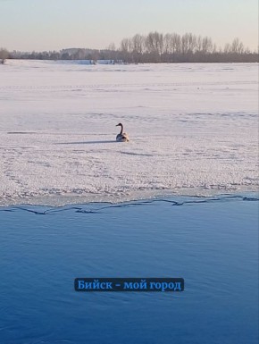 ��� �� ������ ��� ������� ��������� ��� ��������������� ������ � ���, ��� �� ����� �� ��������� ������ � ��������� ������