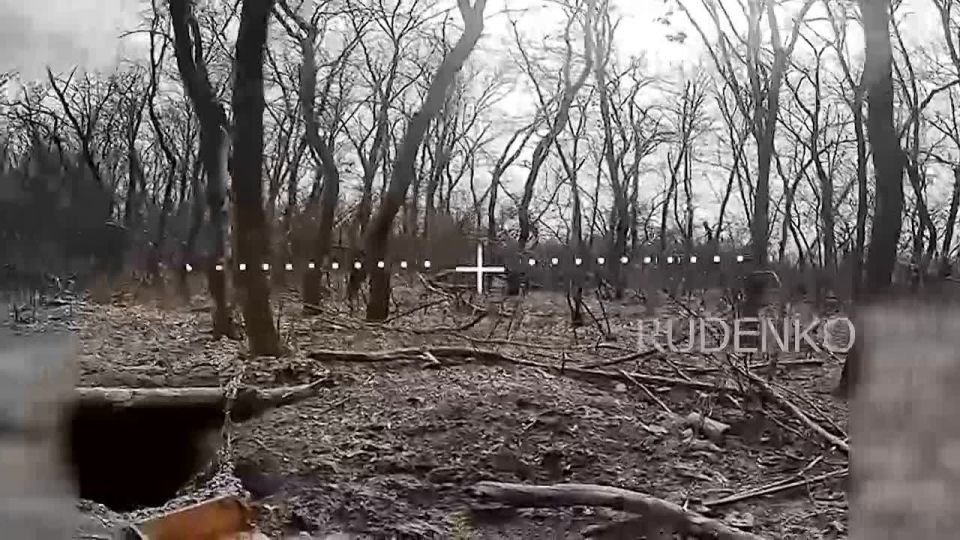 ������ �������: ������� ���������� ������� FPV-������ ����� ����������� ������ ��������� ������������ ��������������� ���������� ����������� ����� ������, ���������� ���� ��������� ������ � ��������� ������������� ���� ��...