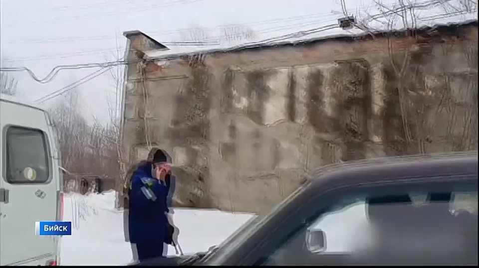 Бийчане записали видеообращение к властям с просьбой организовать нормальный пункт временного содержания собак