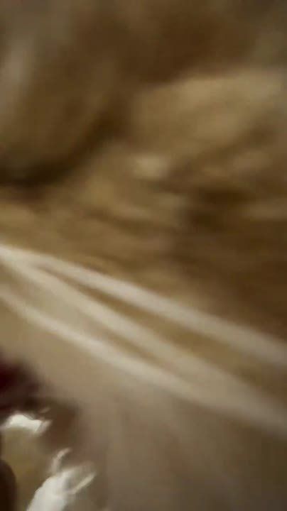 Доброе утро, Алтайский край!