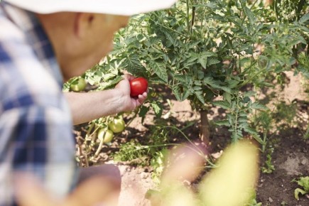 ������������ ��������: �������� ������� � ������� ������� ��� ��������