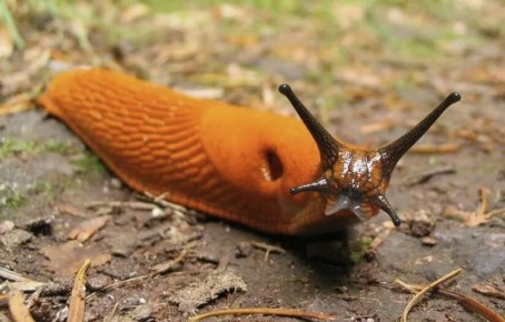 ��������� ������� � ����: ��� ���������� �� �������� ���������