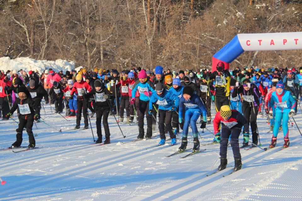 ������� ������������ ����� ������ ������ ��������� � �������� 14 �������