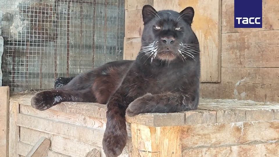 Морозы до 42 градусов вернулись в регионы Сибири после теплых выходных, сообщают синоптики