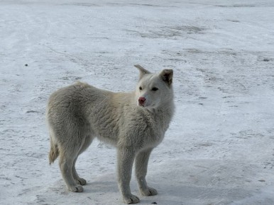 � ��������� �������� ������� �� �������� ����� �� ������, ���������������, ����������, �������, ����������, ������������ � ��������� �������� ��� ���������� (�����)