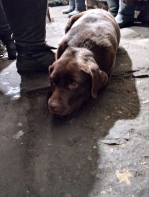 ��� ���������? ������� ������� ������ �������� ��������� �� ���������� ����������� �� ��. ���������. ������, ��������!