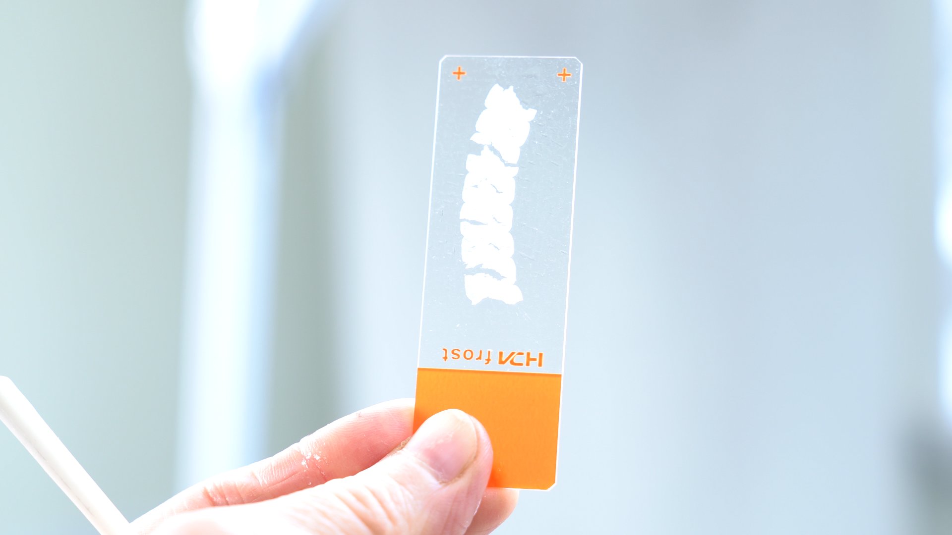 Система раннего выявления онкологии совершенствуется в Алтайском крае Система раннего выявления онкологии совершенствуется в Алтайском крае