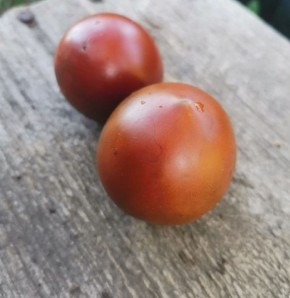 ��������� ������ ��� ������ �������: ����������� � ������ ����������� ���� ����