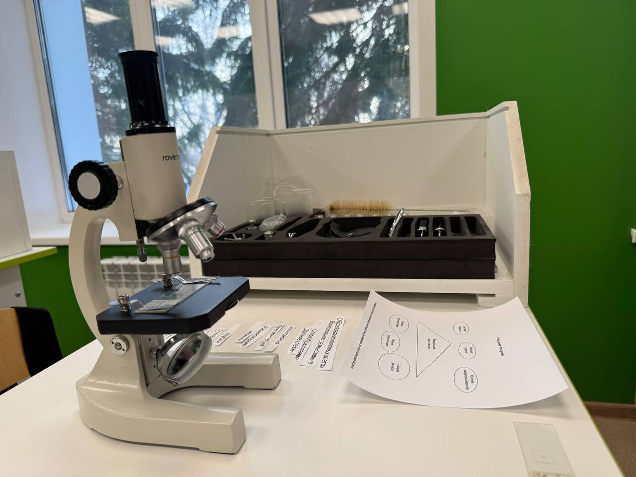 Школу капитально отремонтировали за 97 миллионов в алтайском селе Школу капитально отремонтировали за 97 миллионов в алтайском селе